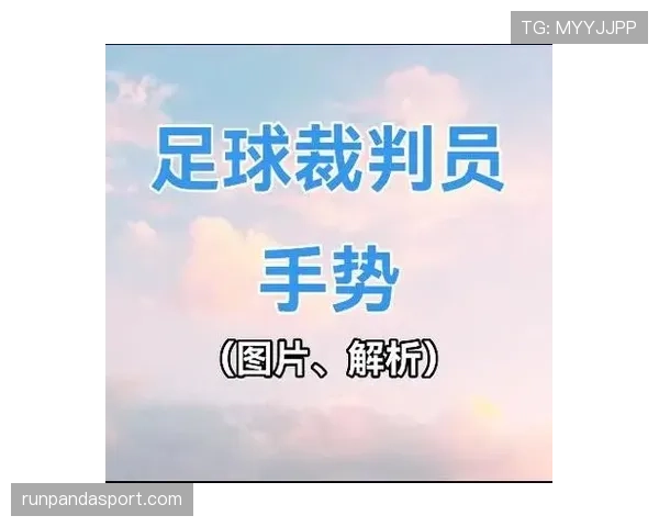 界外球违例怎么判定？新手常见错误及裁判手势解读